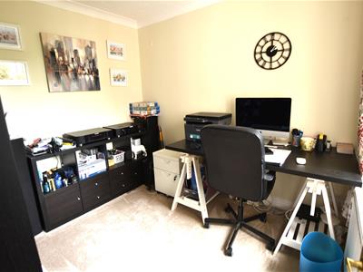 Picture 15